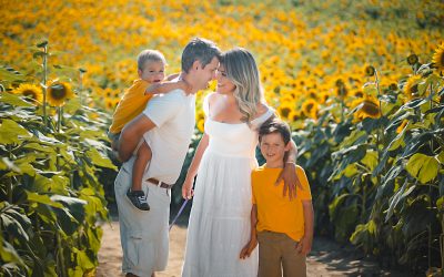 Toronto Sunflower -Família