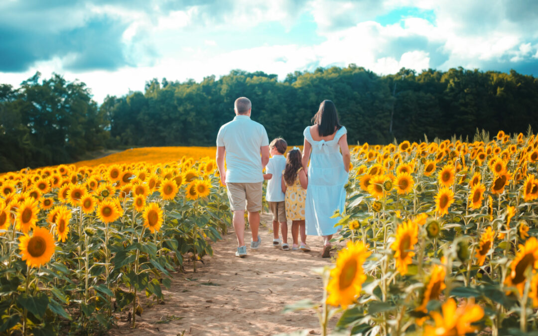 Sun flower Photoshoot – Family